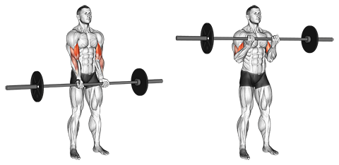 uitvoering Barbell curls