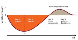 supercompensatie uitgelegd