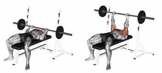 uitvoering small grip bench press
