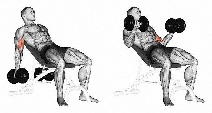 Uitvoering Incline dumbbell curl