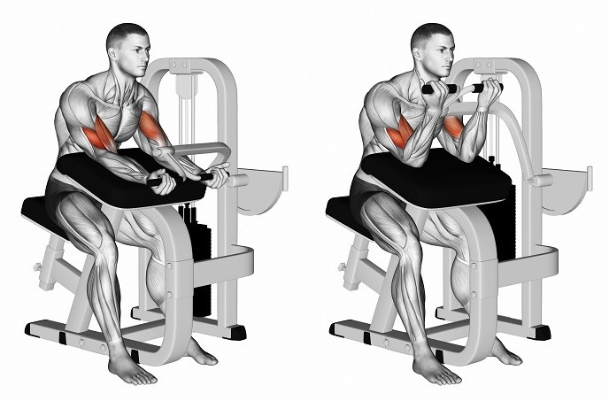 Uitvoering Machine biceps curl